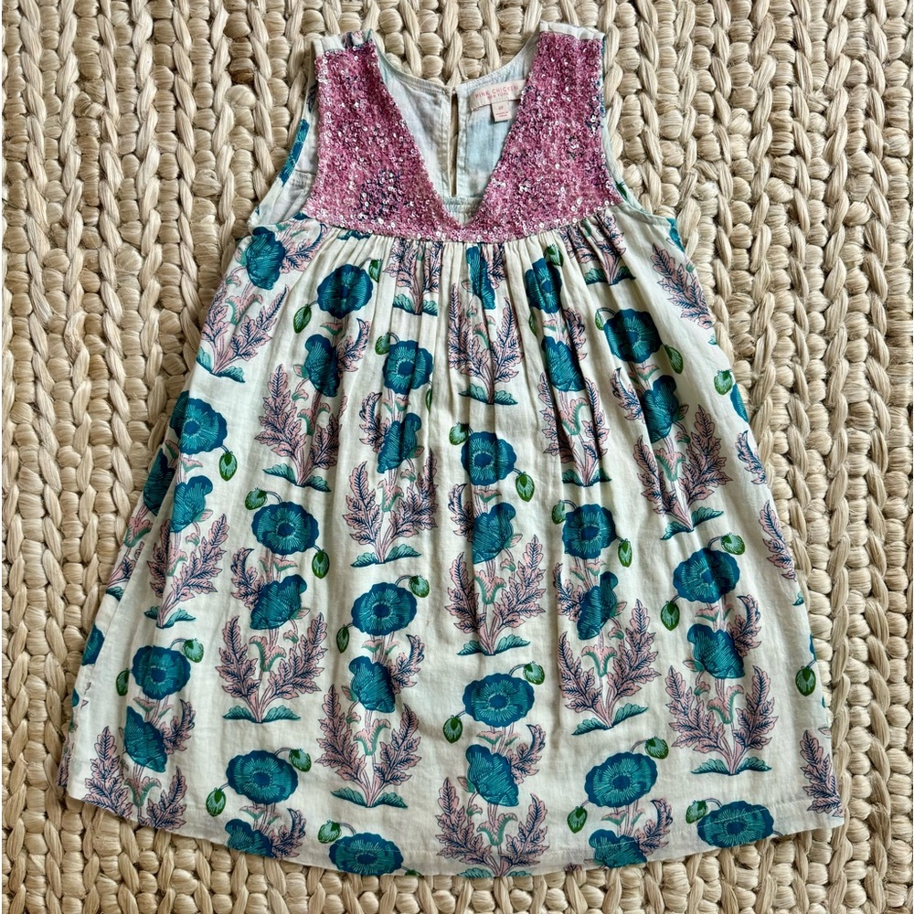 Pink Chicken dress size 6